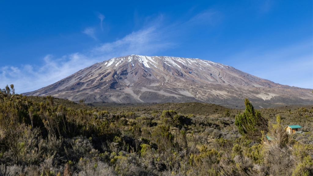 Kilimanjaro Trek